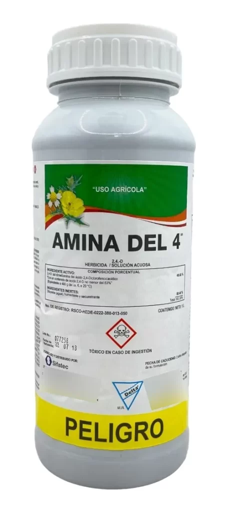 Amina del 4